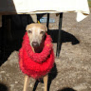 Meet your Posher, Electronica